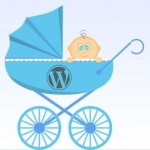 Wordpress Child Theme