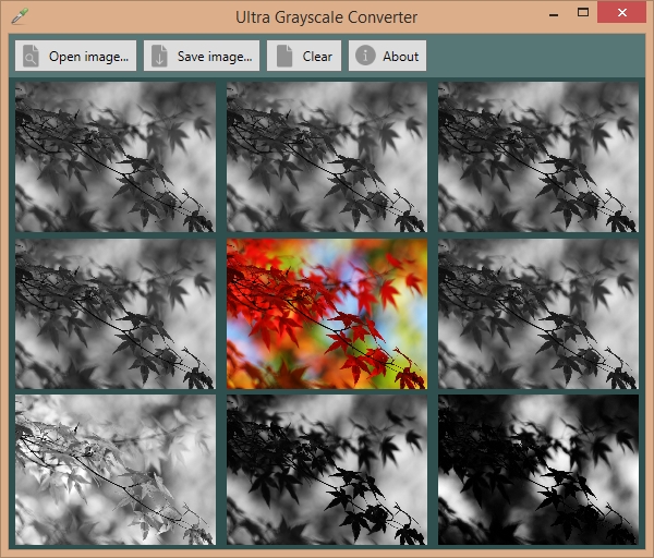 Windows 7 Ultra Grayscale Converter 1.2 full